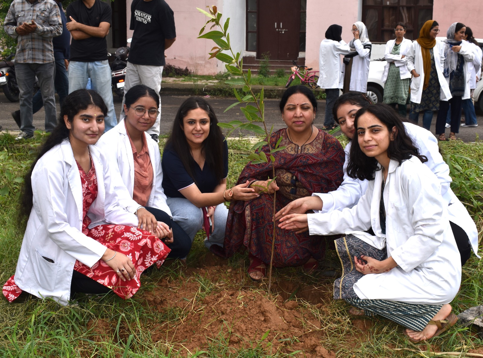 Plantation Drive